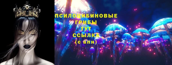индика Дмитров