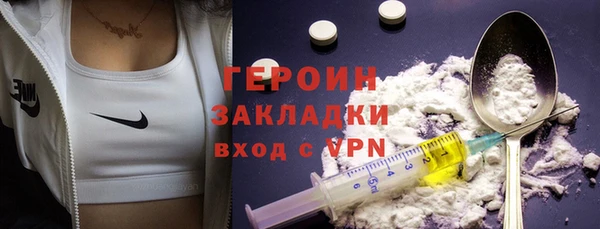 индика Дмитров