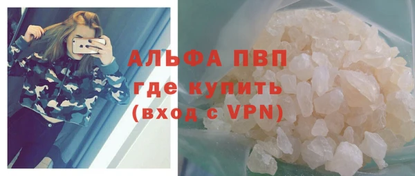 индика Дмитров