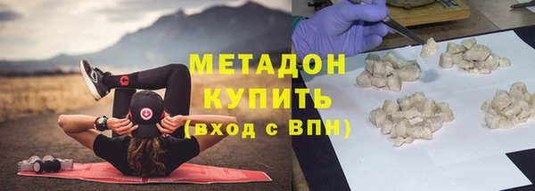 индика Дмитров