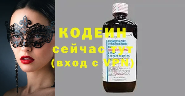 индика Дмитров