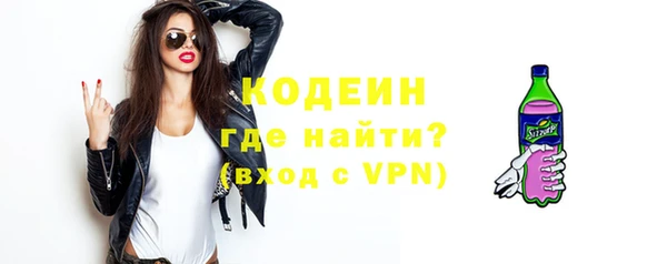 индика Дмитров