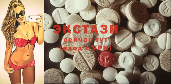 индика Дмитров