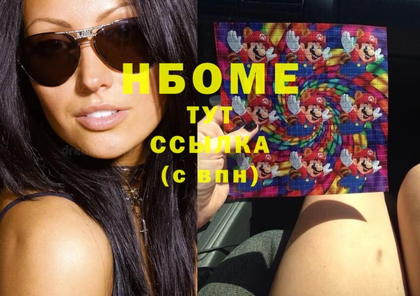 индика Дмитров