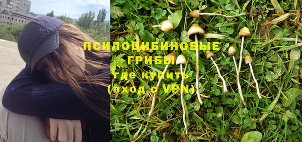 индика Дмитров